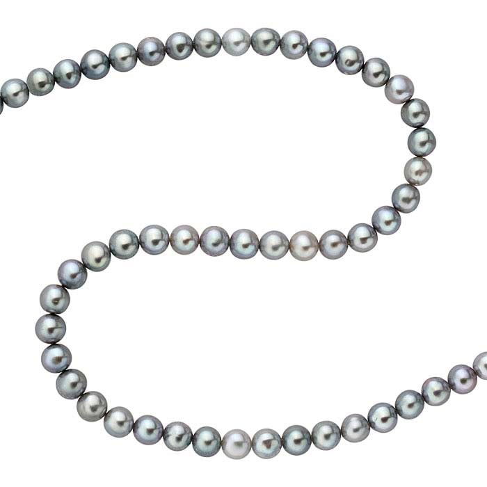 [COLD FRAME] ☆ / SUNDAY PEARLS SUNDAY PEARLS