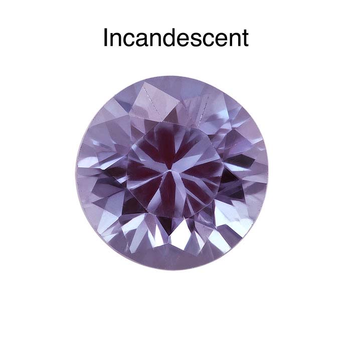 ビスタアレグレ ６枚セット　VISTA ALEGRE 28cm moriyama VISTA ALEGRE – R deco interiors