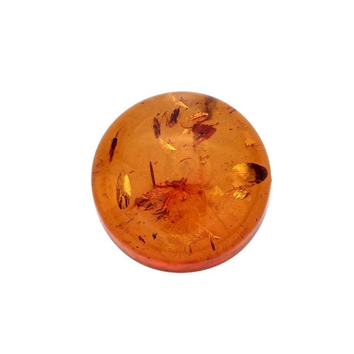 Amber - Cabochon